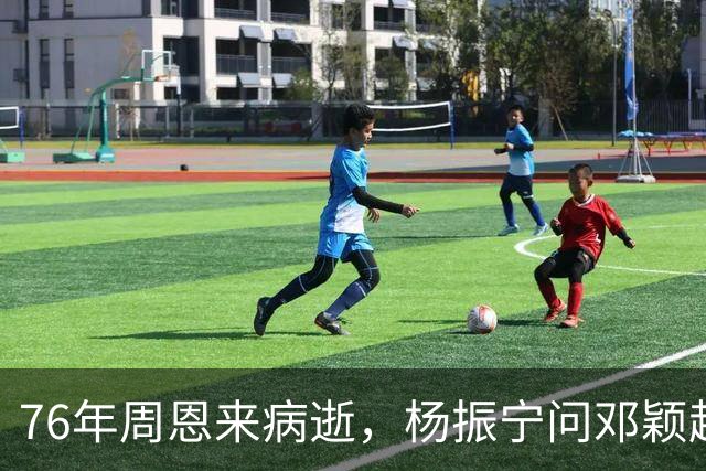 76年周恩来病逝,杨振宁问邓颖超:总理明知生病为何不让他休息?